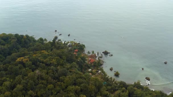 Côte Pacifique avec forêt tropicale — Video