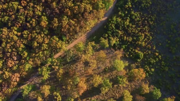 Colorido outono colinas floresta aérea drone metragem — Vídeo de Stock