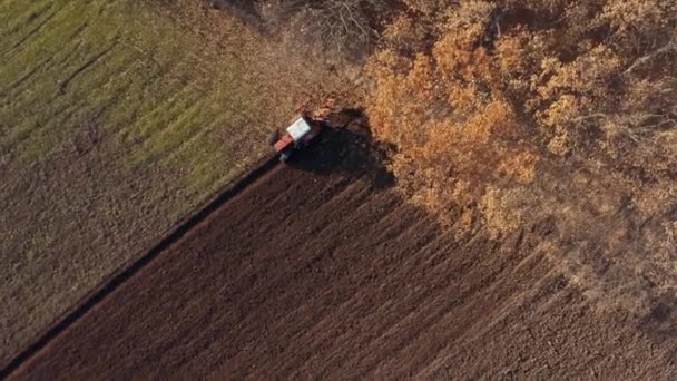 Mezőgazdasági talajt szántó traktor, drónantenna-nézet — Stock videók