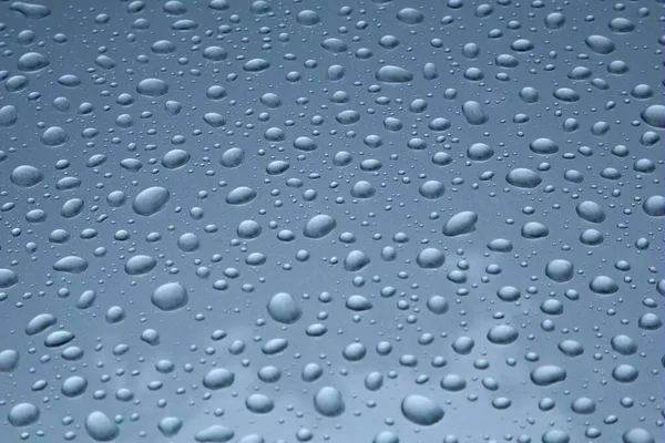 Shiny Water Droplets — Stock Photo, Image