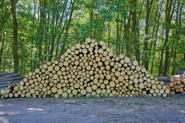 Hromada dřeva — Stock fotografie