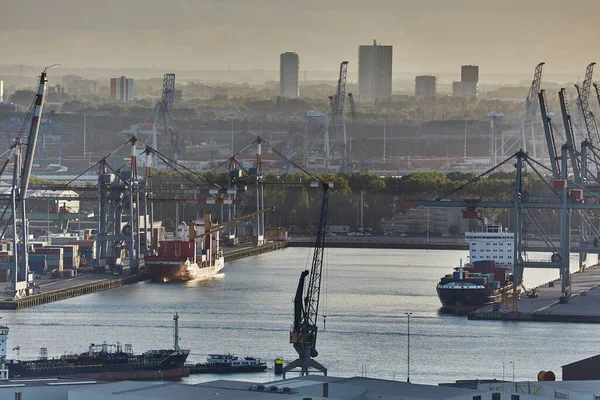 Port of Rotterdam container ships — Fotografia de Stock
