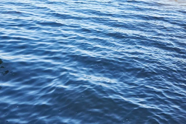 水面の波紋 — ストック写真