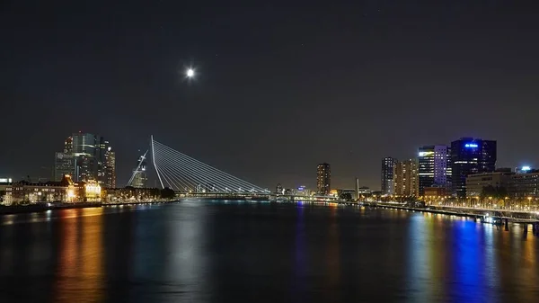 Cable bridge in Rotterdam — Stock Photo, Image