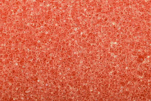 Texture closeup of sponge surface — Foto Stock