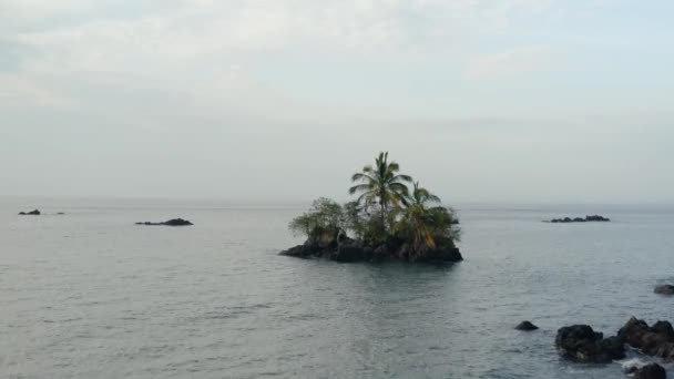 Costa del Pacifico con foresta pluviale — Video Stock