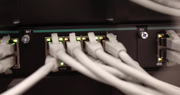 Cabos de rede em servidores rack — Vídeo de Stock
