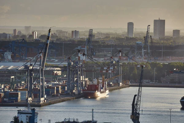 Rotterdam gece limanda konteyner — Stok fotoğraf