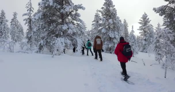 フィンランド北部のスノーシューハイキング — ストック動画