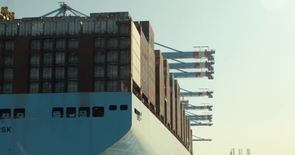 Rotterdam Niederlande Circa 2019 Apm Containerterminal Hafen Von Rotterdam Dem — Stockvideo