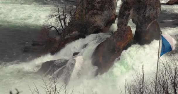 Wodospad Rhine Falls w Szwajcarii — Wideo stockowe