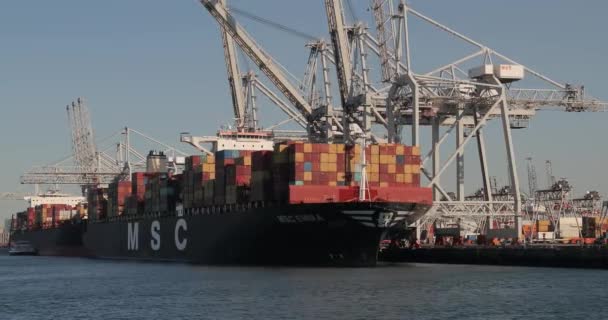 Rotterdam Nederland Cirka 2019 Containerskip Containerterminalen Ect Rotterdam Havn Portalkraner – stockvideo