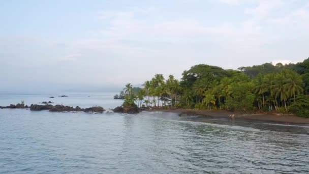 在哥伦比亚的乔科 靠近努基的太平洋沙滩上 有棕榈树 空中俯瞰着海岸 — 图库视频影像
