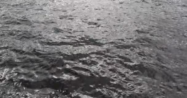 호수의 뒤쪽에 탁트인 모양으로 흔들리고 날씨가 무더웠을 회색을 — 비디오