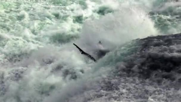 ライン川から急流で滝が飛び降り 岩に水が当たり Fpsからのスローモーション — ストック動画