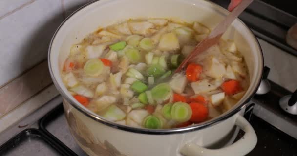 Cooking Vegetable Soup Many Frash Ingredients Left Boil Hob — Video Stock