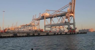 ROTTERDAM, NETHERLANDS - CIRCA 2019: ECT konteynır terminalinin endüstriyel yük iskelesinden büyük vinçlerle geçmek. Avrupa 'nın en yoğun kargo limanı, ulaşım altyapısı