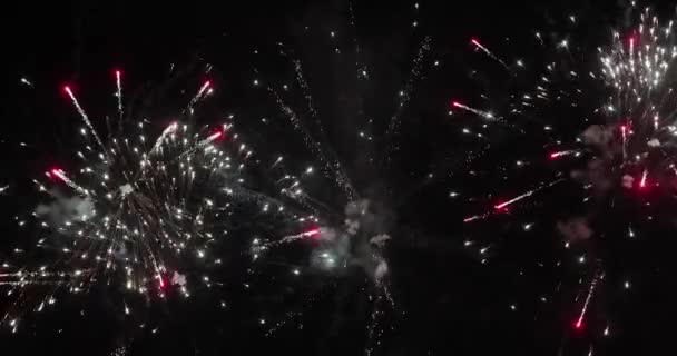 Színes Tűzijáték Robbant Éjszakai Égen Esti Ünneplés — Stock videók