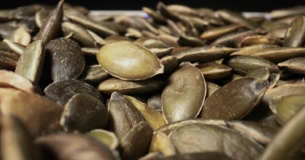 Pumpkin Seeds Pile Macro Sliding Shot Probe Lens Fps 60P — Stock video