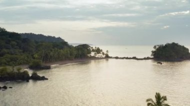 Tropik plaj, Pasifik Okyanusu ve kıyılarında palmiye ağaçları olan yağmur ormanları, Choco, Kolombiya, Nuqui yakınlarında, kıyı boyunca insansız hava aracı manzarası.