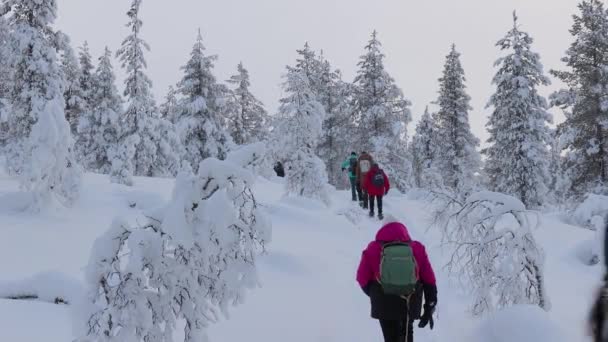 Saariselka Фінляндія Близько 2022 Група Подорожує Снігоступами Снігових Зимових Стежках — стокове відео