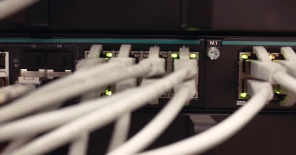Network Cables Plugged Switch Only Data Center Server Room — ストック動画