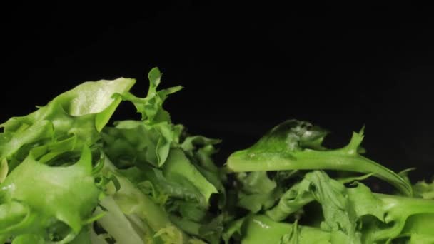 Φρέσκια Πράσινη Σαλάτα Ένα Πιάτο Macro Closeup Κάμερα Κίνησης Φακό — Αρχείο Βίντεο