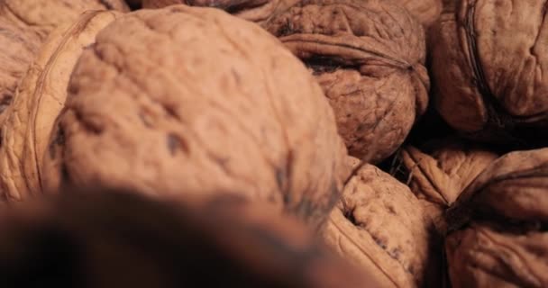 Pile Walnuts Macro Slider Shot Probe Lens Nuts — Stock Video