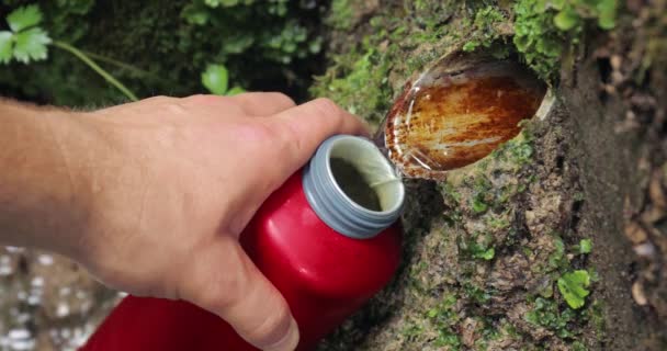 在森林的泉水边灌满了水瓶 清澈的水流淌着 — 图库视频影像