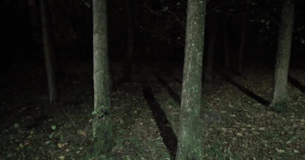 Číhající Mezi Stromy Chladné Tmavé Noci Bezcílně Kráčející Strašidelný Podzimní — Stock video