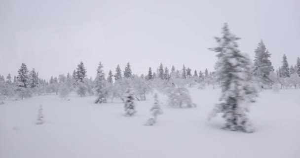Snowy Nordisk Landskab Passerer Forbi Tur Nord – Stock-video