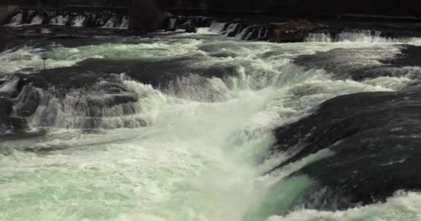 ライン川から急流で滝が飛び降り 岩に水が当たり Fpsからのスローモーション — ストック動画