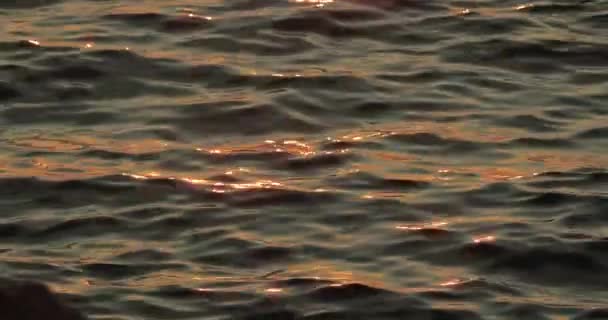 Rippende Havvand Overflade Skinnende Solnedgang Lys Rolig Natur Scene Sollys – Stock-video