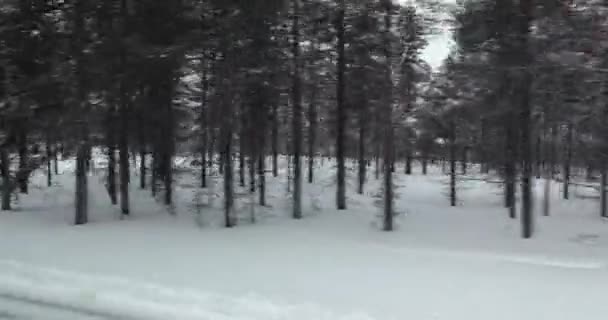 Paisagem Nevosa Floresta Nórdica Que Passa Viagem Norte — Vídeo de Stock