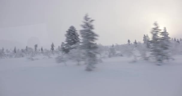 북쪽으로 여행하는 눈덮인 노르딕 — 비디오