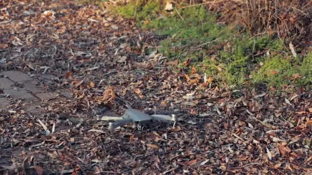 Drone Despegando Hojas Caídas Viento Del Rotor Soplando Hojas Otoño — Vídeo de stock