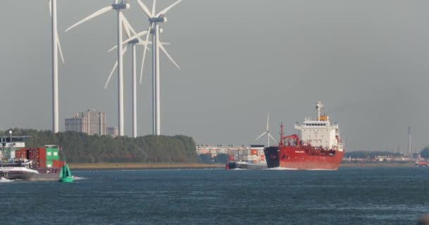 Rotterdam Niderlandy Circa 2019 Ruch Statków Kanale Portu Rotterdamie — Wideo stockowe
