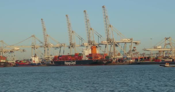 Rotterdam Países Bajos Circa 2019 Barcos Portacontenedores Muelle Carga Terminal — Vídeo de stock