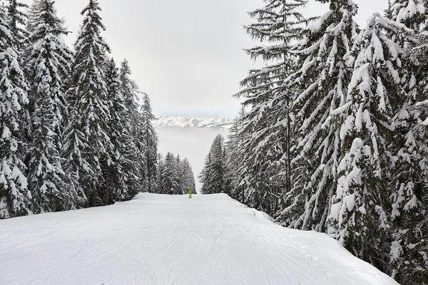 Árvores Nevadas Uma Estrada Montanha Inverno Paisagem Coberta Neve Esqui — Fotografia de Stock