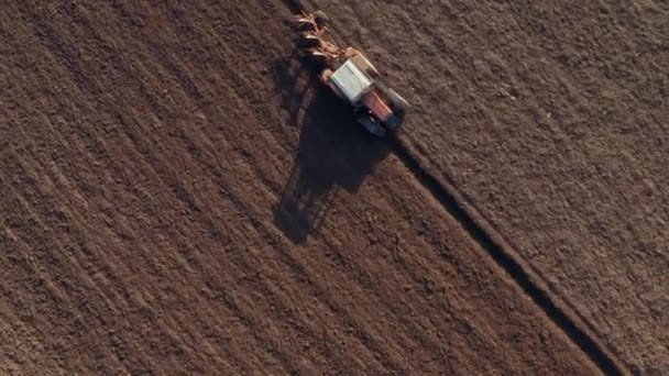 Traktorplogning Jordbruksfält Flygdrönare — Stockvideo