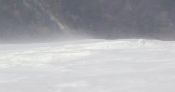 強い風と吹雪の中で吹いた雪の結晶 粒子を発破 — ストック動画