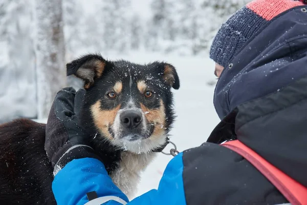 Pies Cieszący Się Spacerem Zimowym Śniegu — Zdjęcie stockowe