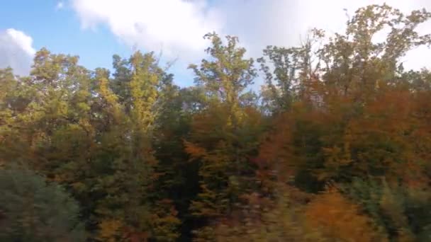 スローモーションの森の景色の中で秋の木々のカラフルな葉で列車の旅 — ストック動画