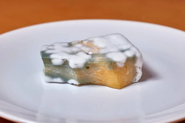 Expired moldy piece of cheese on a plate, mold growing