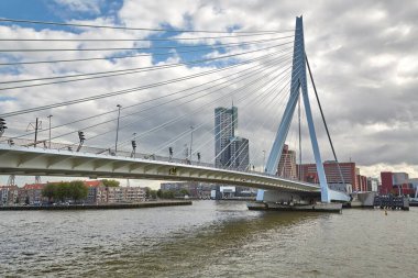 Şehir merkezindeki Erasmus Köprüsü 'nün altından geçen teknenin rotterdam manzarası, etrafındaki yüksek ofis binaları.