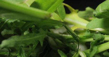 Taze yeşil aragula salatası makro yakın çekim kamera hareketi geniş açı prob lensi ile