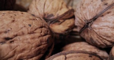 Ceviz yığını makro kaydırıcı mercek ve fındıklar arasında sonda merceği.