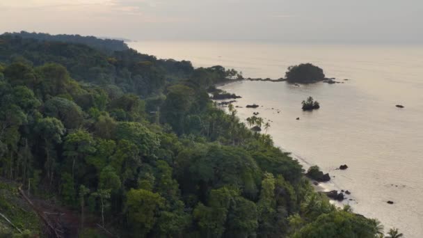 Береговая Линия Тихого Океана Тропическими Лесами Чоко Колумбия Недалеко Нуки — стоковое видео