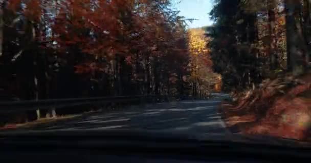 Carro Dirigindo Vista Interior Colinas Floresta Outono Com Folhas Coloridas — Vídeo de Stock