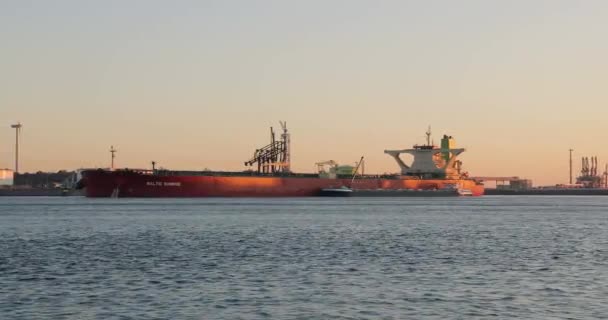 Hafen Rotterdam Niederlande September 2019 Großer Rohöltanker Baltic Sunrise Dockt — Stockvideo